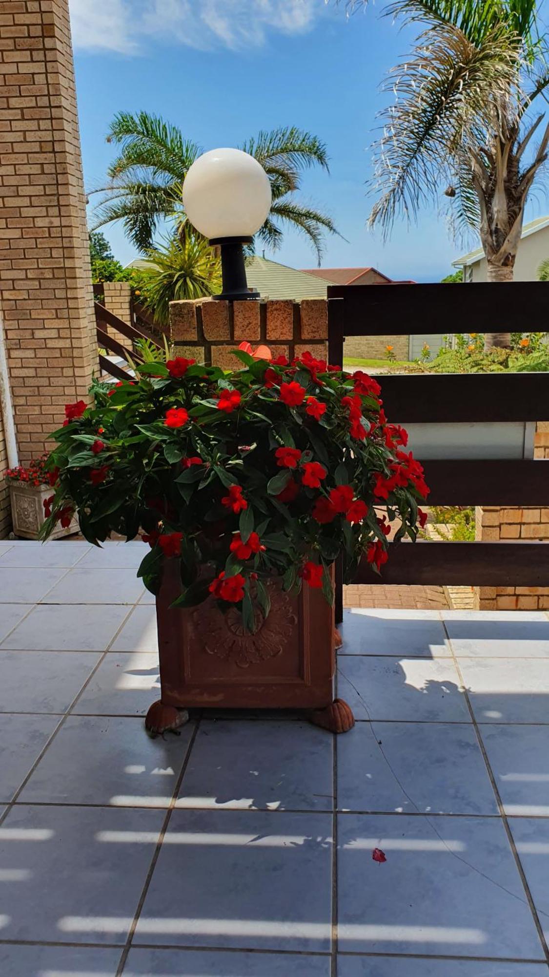 Villa Majestic For Exclusive Accommodation Port Alfred Buitenkant foto
